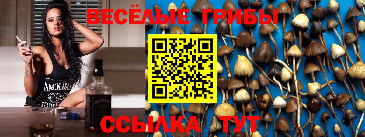 Псилоцибиновые грибы Magic Shrooms  Вход с VPN  Галлюциногенные грибы Psilocybine cubensis  где купить   Екатеринбург 